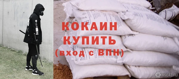 индика Горно-Алтайск