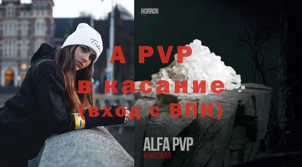 индика Горно-Алтайск