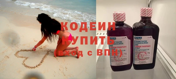 индика Горно-Алтайск