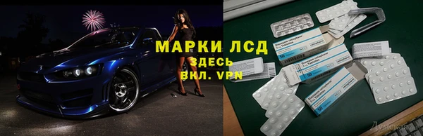 индика Горно-Алтайск