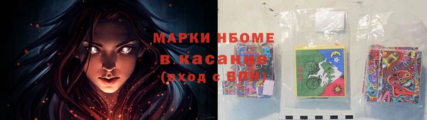 ГАЛЛЮЦИНОГЕННЫЕ ГРИБЫ Вязьма