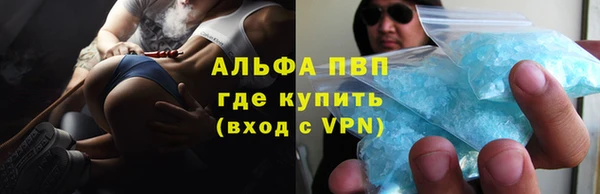 индика Горно-Алтайск