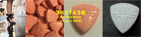 индика Горно-Алтайск