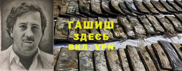 индика Горно-Алтайск