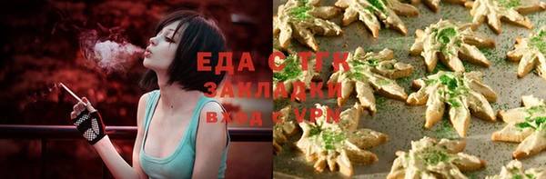 индика Горно-Алтайск