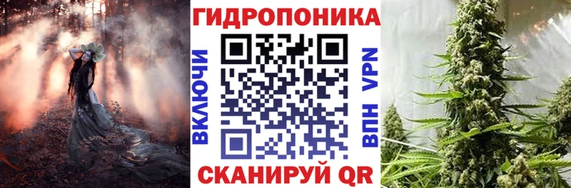 Каннабис SATIVA & INDICA  закладки  Тюмень 